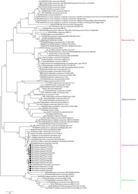 Characterization of the emerging recombinant infectious bronchitis virus in China